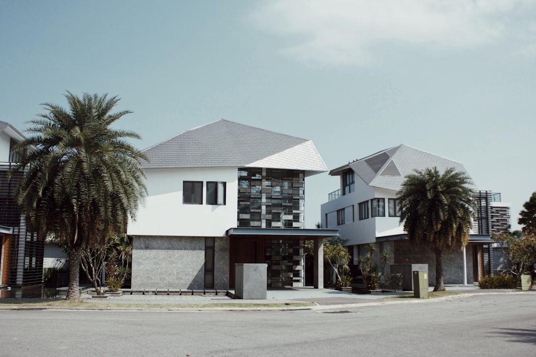 Modern homes with palm trees along a quiet residential street